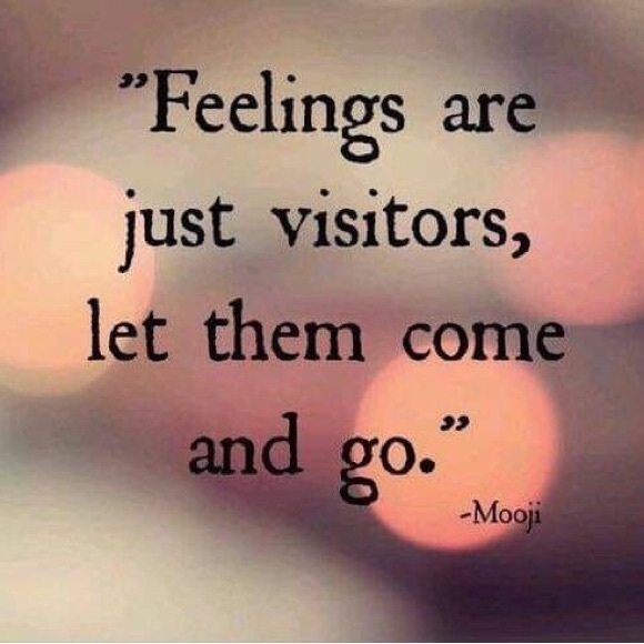 Meet your Posher, Shabrea - Picture 7 of 7